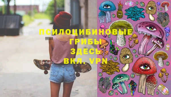 шишки Новозыбков
