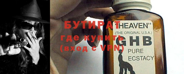 шишки Новозыбков