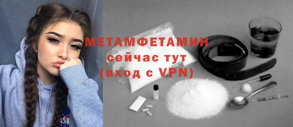 шишки Новозыбков