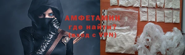 шишки Новозыбков