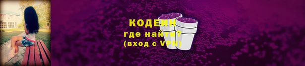 шишки Новозыбков