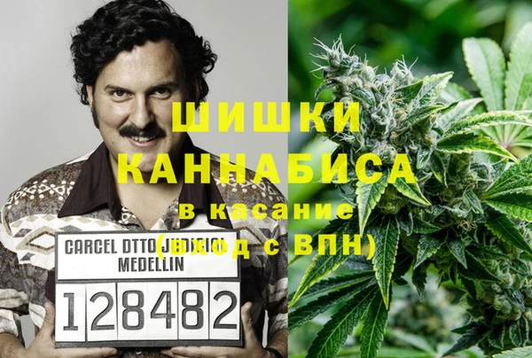 прущие грибы Новокубанск