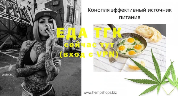 шишки Новозыбков