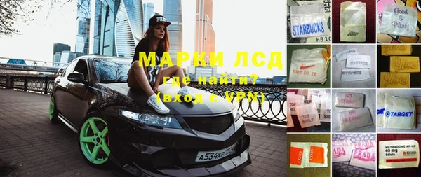 шишки Новозыбков