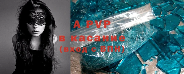шишки Новозыбков